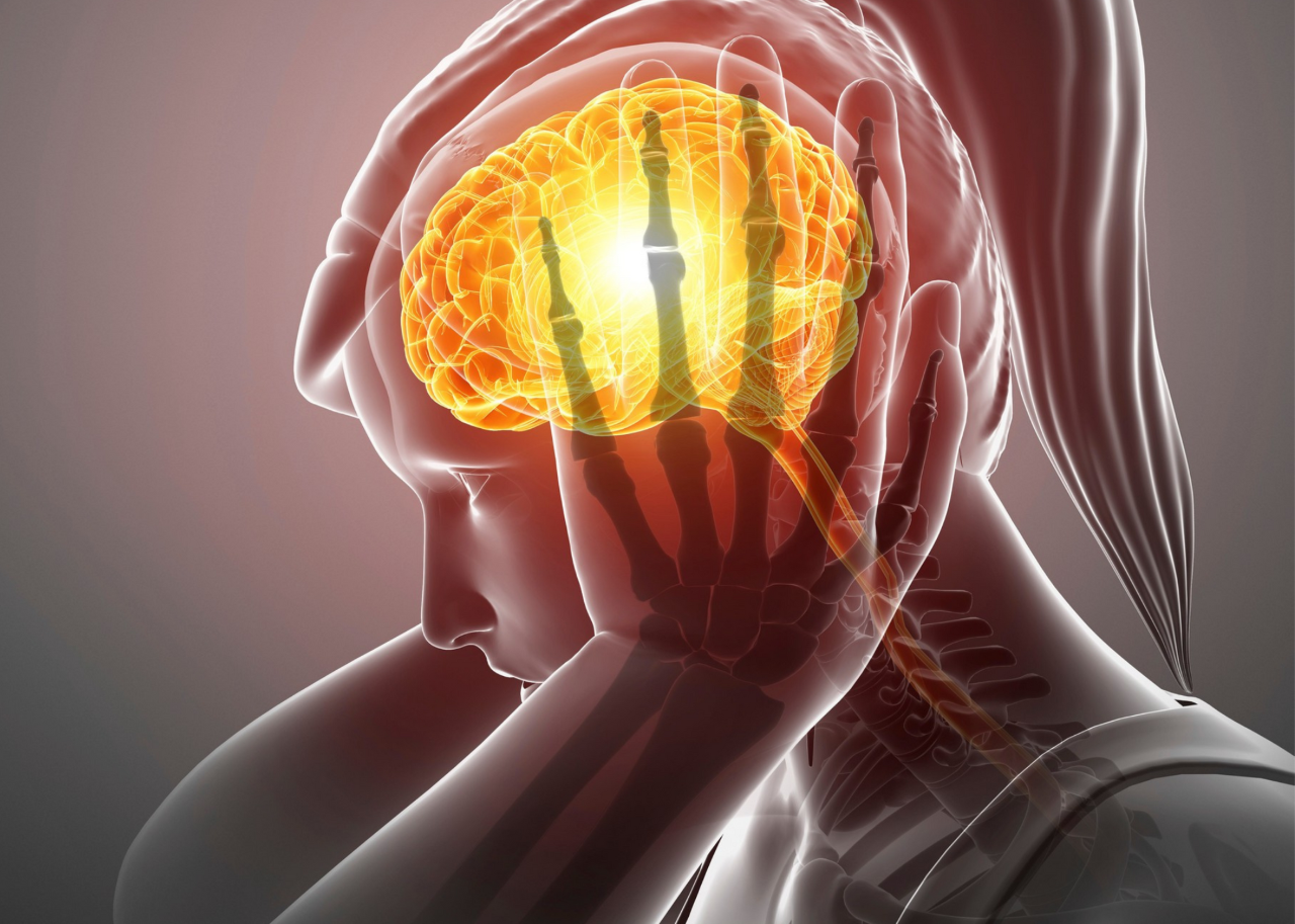STRESS – POST GRATUADE WORKSHOP