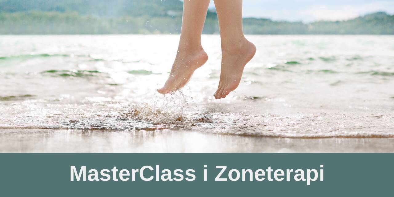MasterClass i Zoneterapi