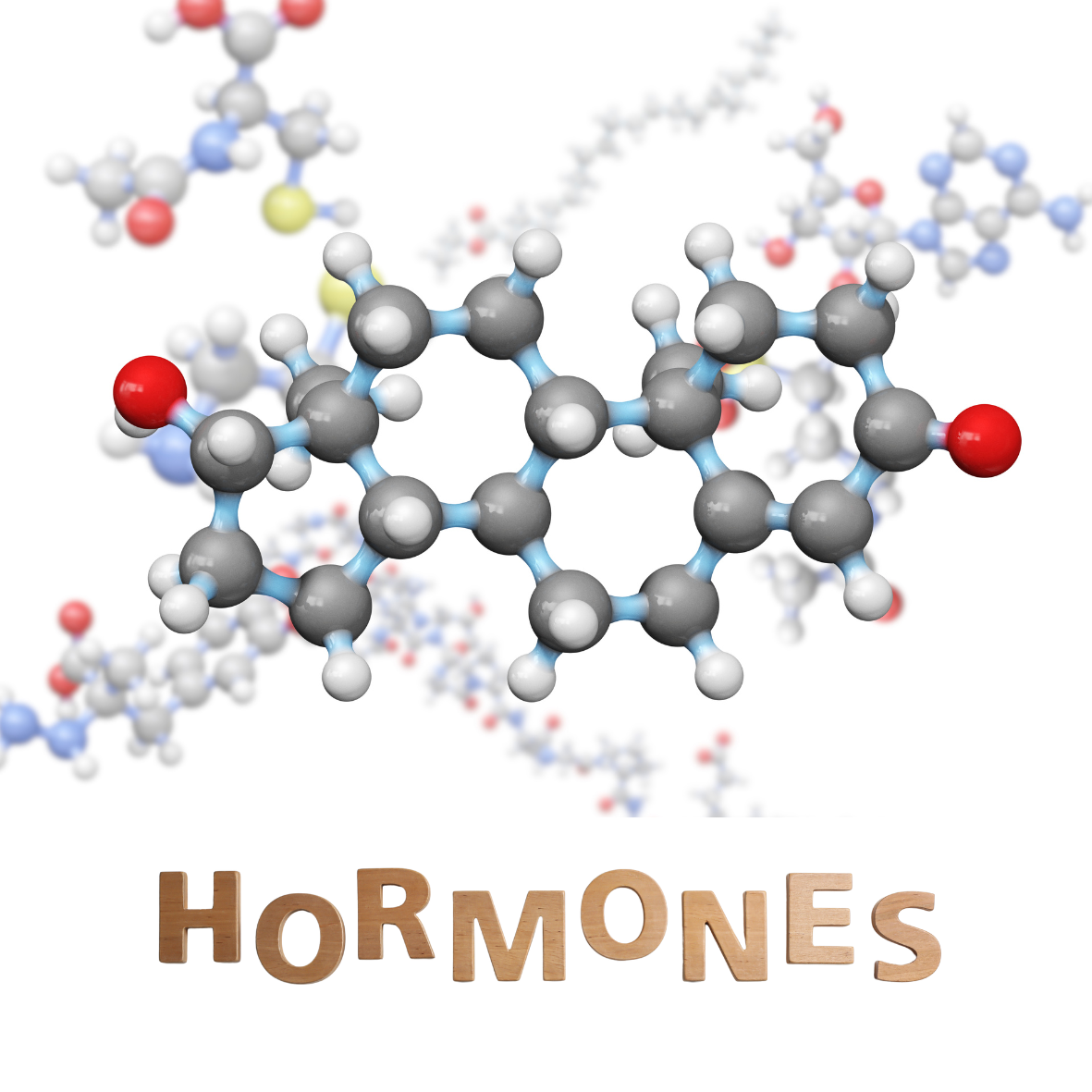hormoner