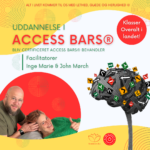 ACCESS BARS PRACTITIONER®
