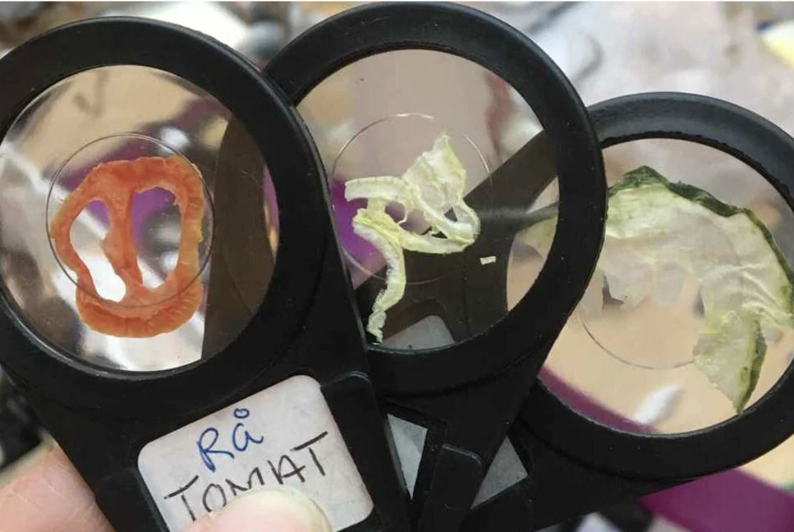 Screenshot-2025-08-21-at-09.26.50