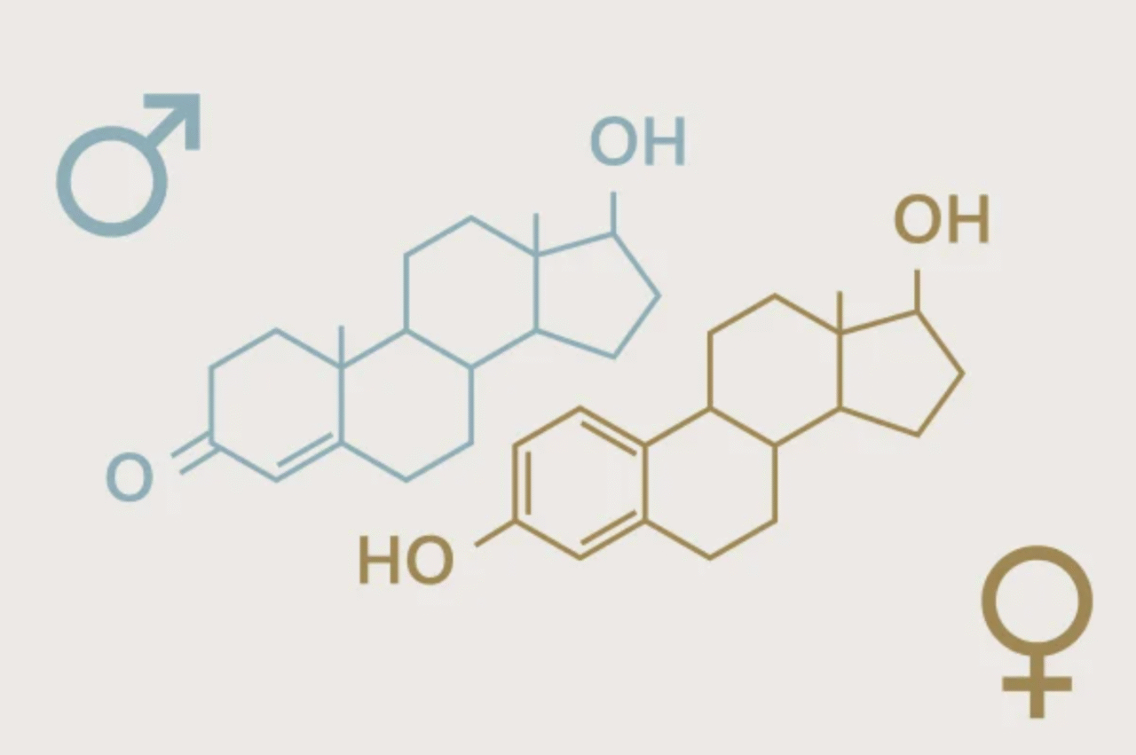 Screenshot-2025-08-21-at-10.55.47