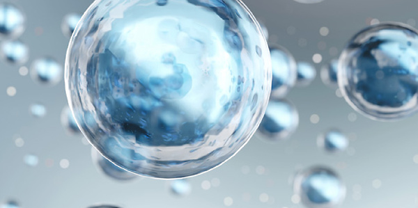 DK_Masterclass_Banner_600x300px_0526_001-2