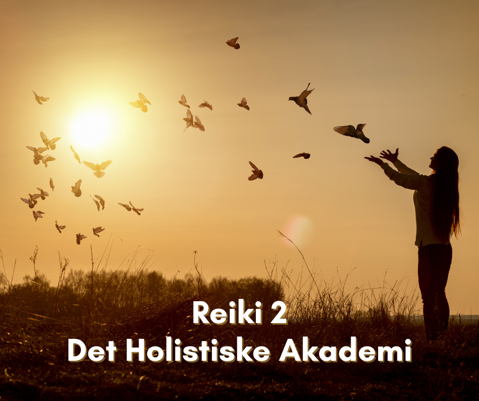 Reiki-2-Det-Holistiske-Akademi