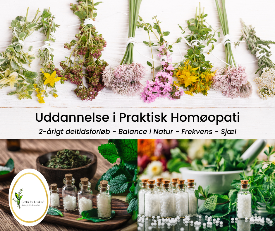 Praktisk-homoeopati-billeder-2